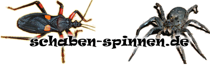 schaben-spinnen.de